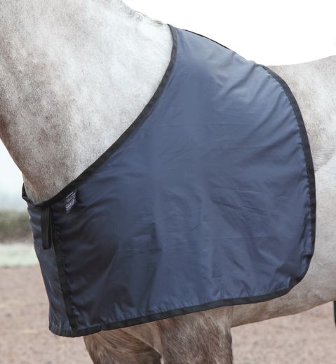shires-satin-bib