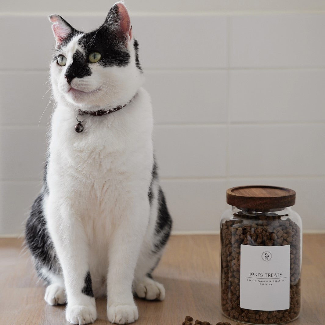 Lifestyle_pet_food_jar_treats_1