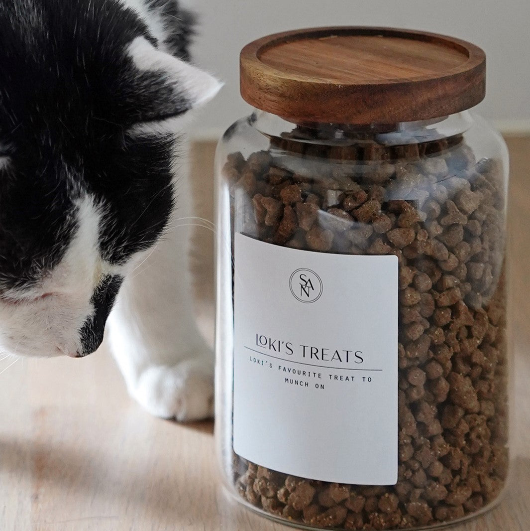 Lifestyle_pet_food_jar_treats_3