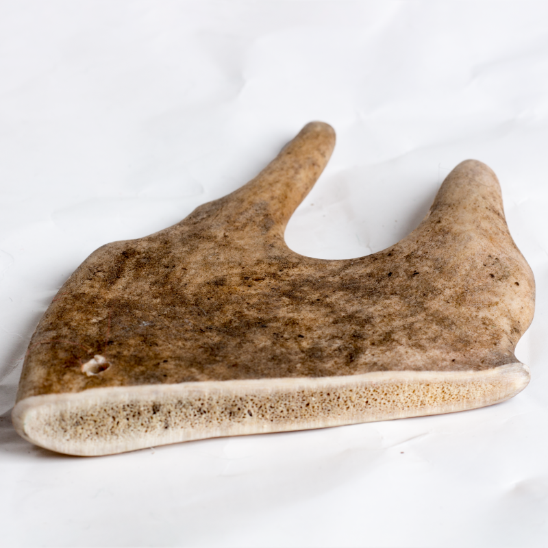 1cd77e61-Hard-Antler-Medium-e1590245752251