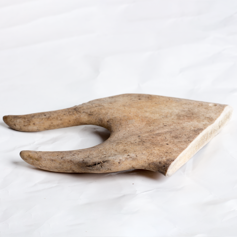 2dd8f704-Hard-Antler-Medium-1-e1590245981848