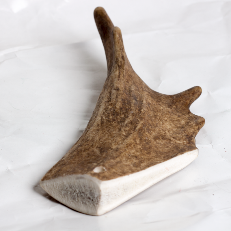 8fd8345c-Hard-Antler-Medium-2-e1590245942825