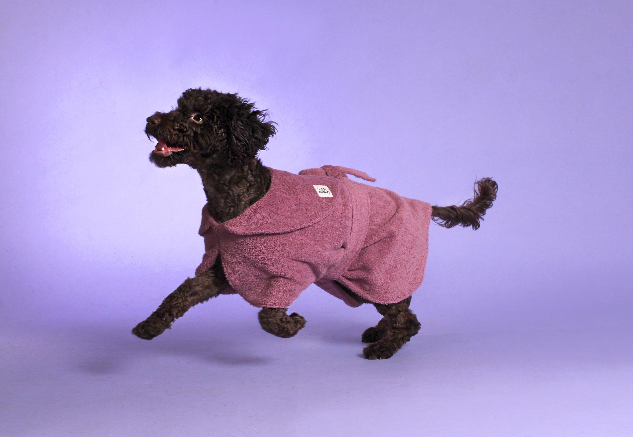 IMG_6982_43c96449-d39a-4285-87b7-28c4247a4c9c