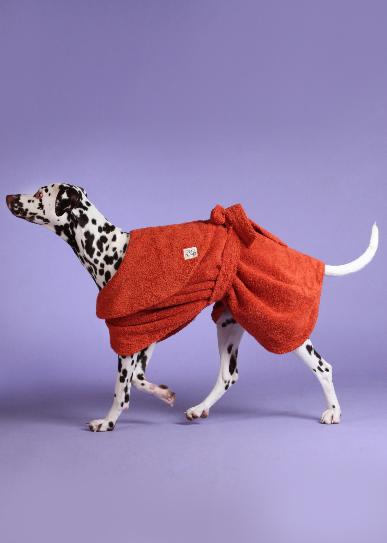 Rust_Dog_Drying_Robe