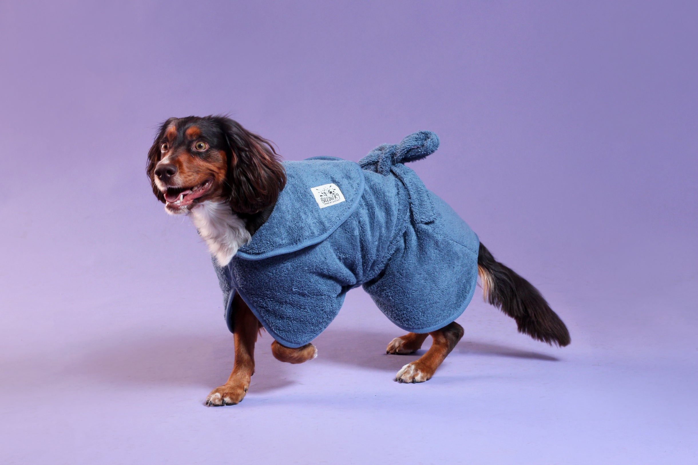 blue_dog_drying_robe_003
