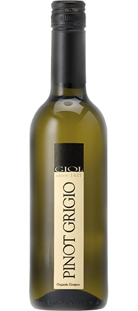 Half Bottle Giol (375ml), 2017, Pinot Grigio