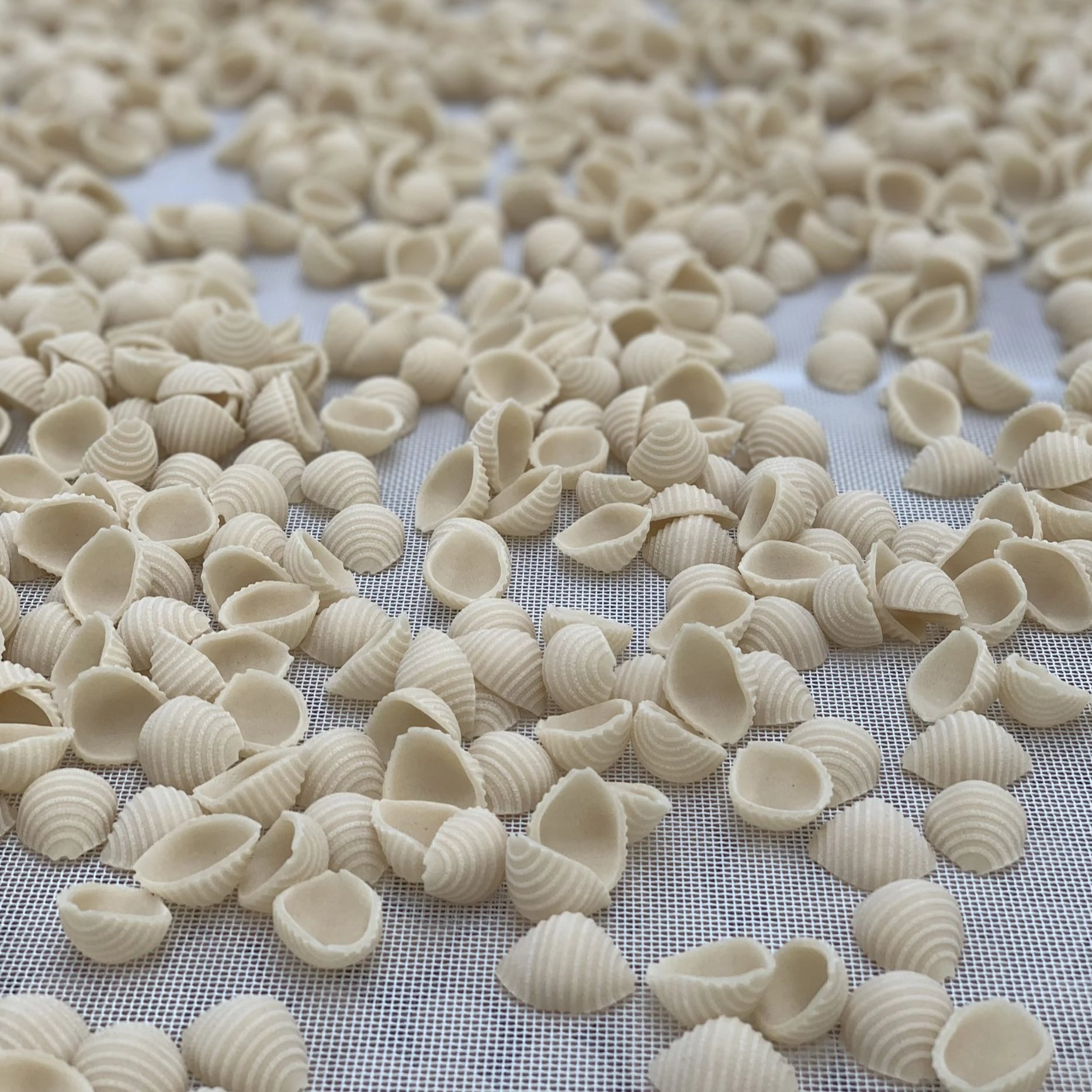 Yorkshire Pasta – Vegan & Plastic-free No 3: Conchiglie Rigate