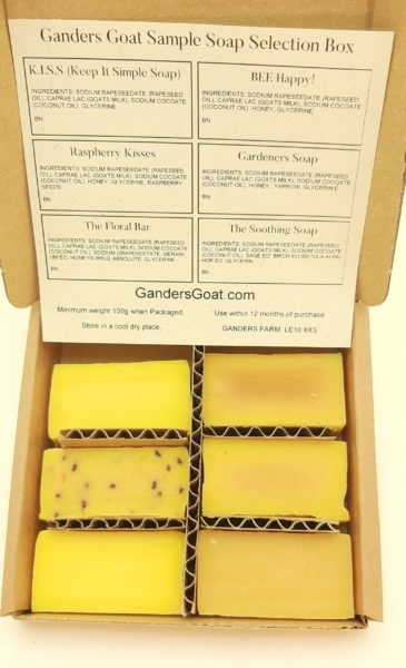 Can’t Decide? Is It For You? Sample Box – Goat Milk Soap – Ganders Goat