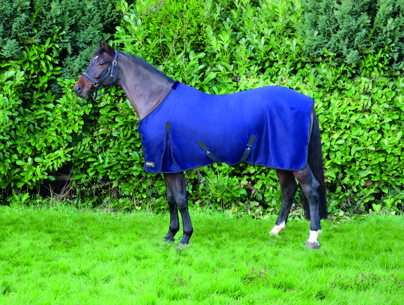 StormX Original Comfort Cotton Sheet  4′ 6″