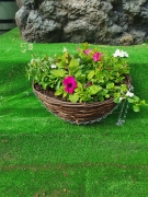 35cm/14` Black Rattan Hanging Baskets