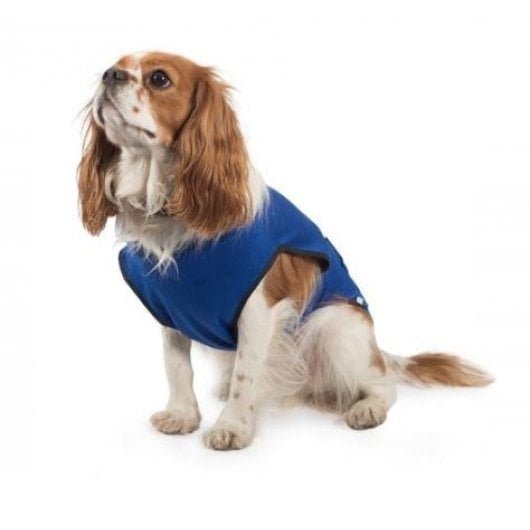 Ancol Dog Cooling Vest XL – Fur2Feather Pet Supplies
