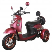 Electric Mobility Scooter Unique500