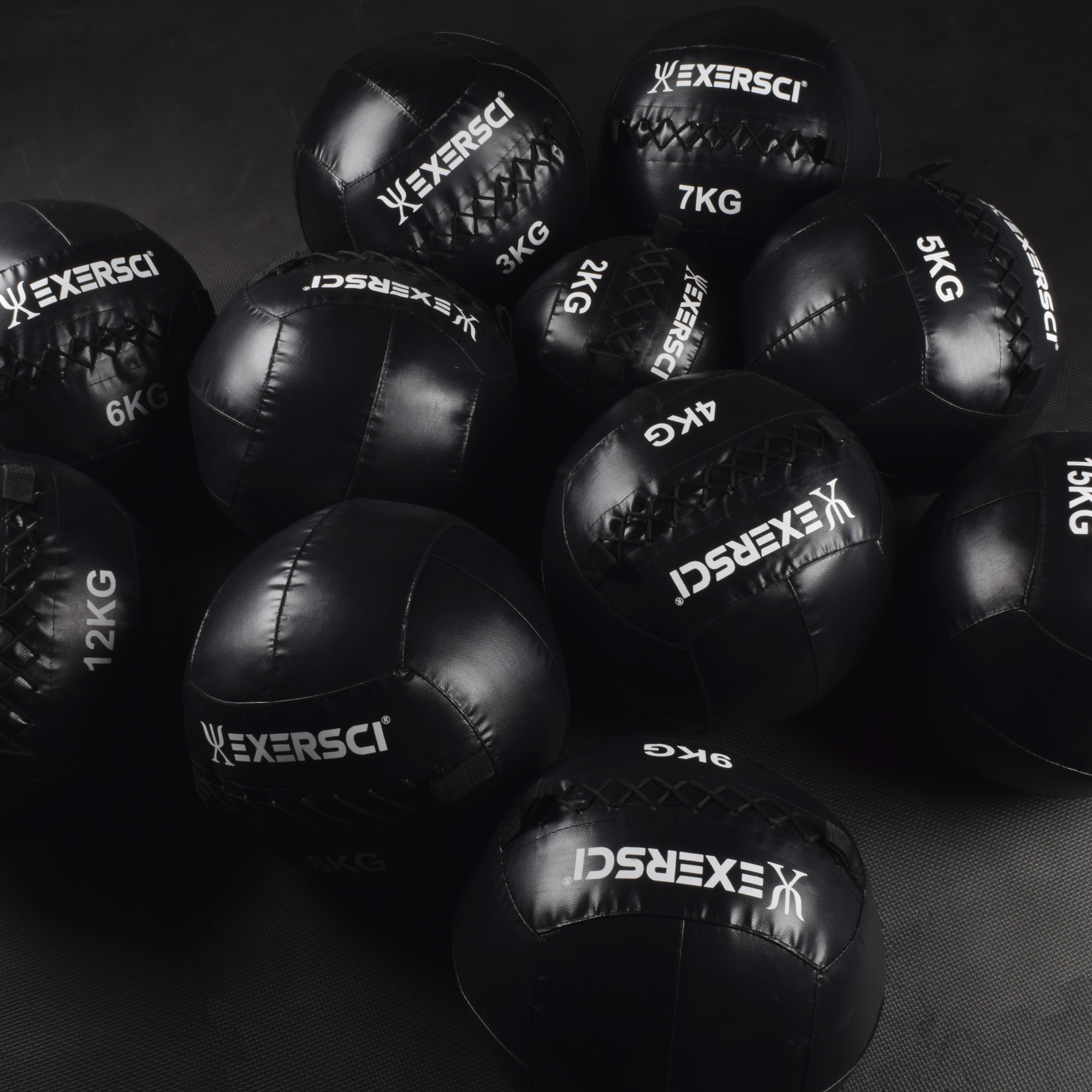 Exersci Wall Medicine Ball