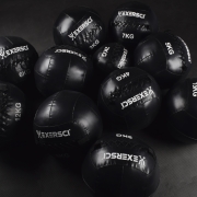 Exersci Wall Medicine Ball