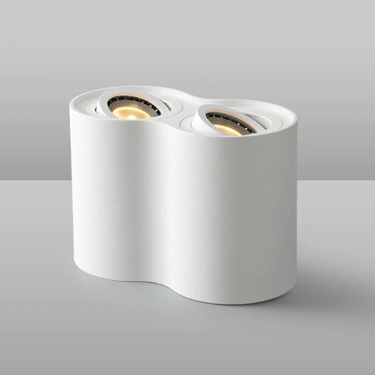 Black Or White Twin Curved Ceiling Duo Down Spotlights White – Ceiling Light – CGC Retail Outlet