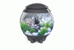Biorb Halo 15L Grey MCR