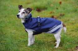 Bucas Therapy Dog Coat 300 – 14″ – Dog Coats – Saddlemasters Equestrian