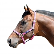 COTTAGE CRAFT HEADCOLLAR GALAXY PINK Red Cob