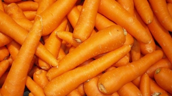 Carrots – TC Feeds & Tack Haven