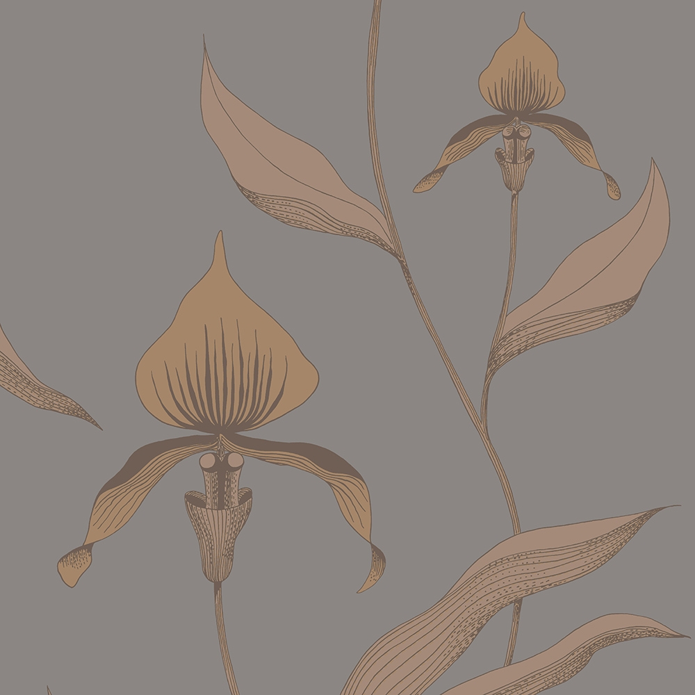 Cole and Son – Contemporary Restyled Orchid 95/10056 Wallpaper – Grey / Orange / Brown – Non-Woven – 53cm