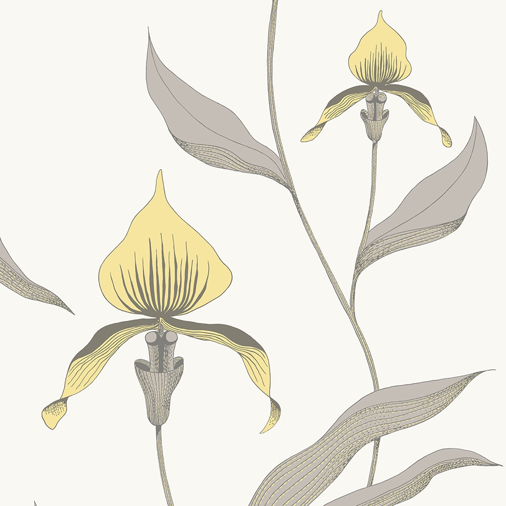 Cole and Son – Contemporary Restyled Orchid 95/10057 Wallpaper – Cream / Grey  Yello – Non-Woven – 53cm