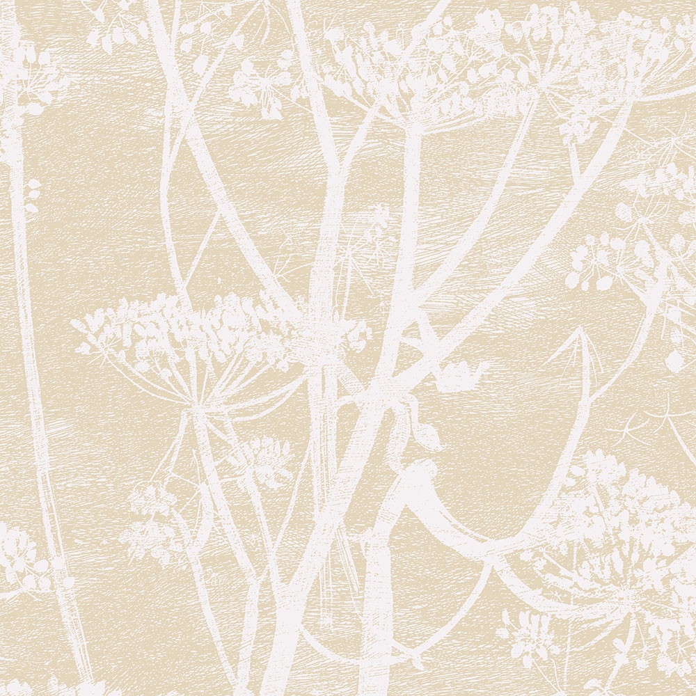 Cole and Son – New Contemporary Cow Parsley 66/7049 Wallpaper – Beige / Grey – Non-Woven – 53cm