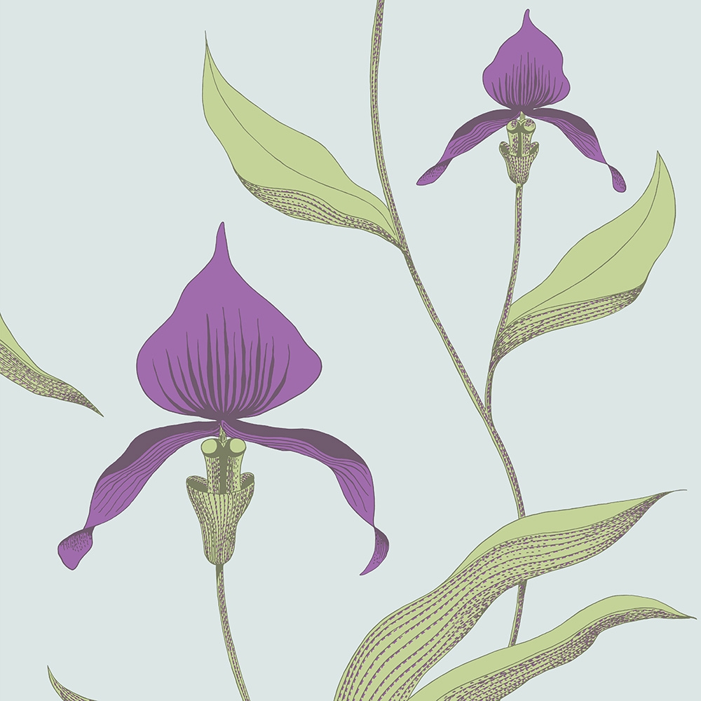 Cole and Son – New Contemporary Orchid 66/4027 Wallpaper – Light Blue / Green / Purple – Non-Woven – 53cm