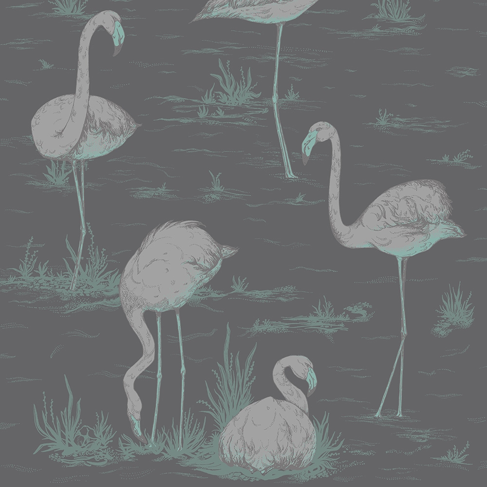 Cole and Son – Contemporary Restyled Flamingos 95/8048 Wallpaper – Grey / Green – Non-Woven – 53cm