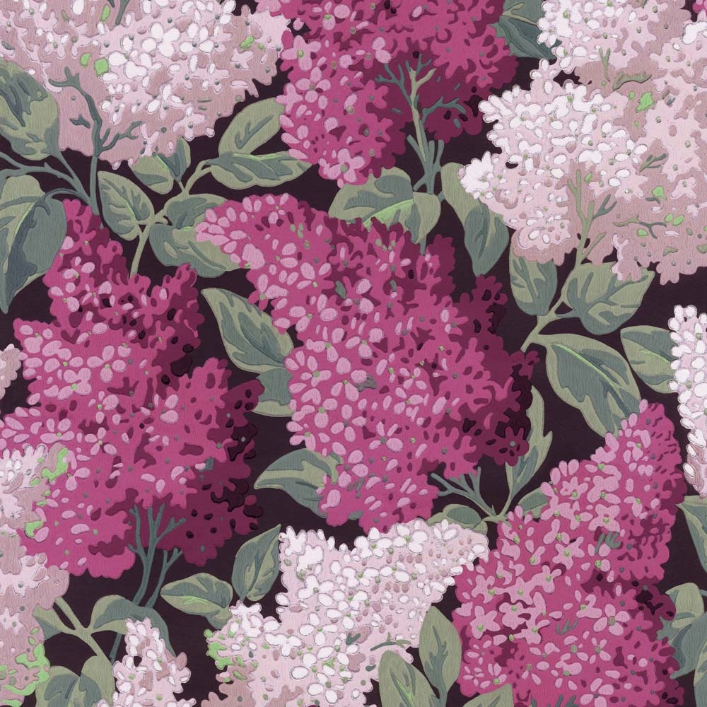 Cole and Son – Botanical Lilac Grandiflora 115/15045 Wallpaper – Pink / Green – Non-Woven – 70cm