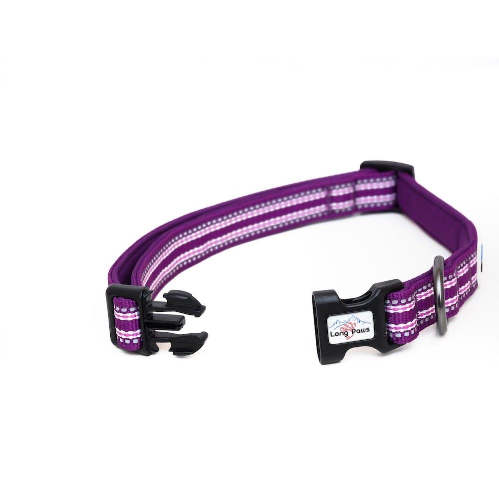 Long Paws Comfort Padded Dog Collar – Reflective Dog Collar UK S – Purple – Unisex – Long Paws UK
