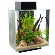 Fluval Edge Black Aquarium 46 Litre