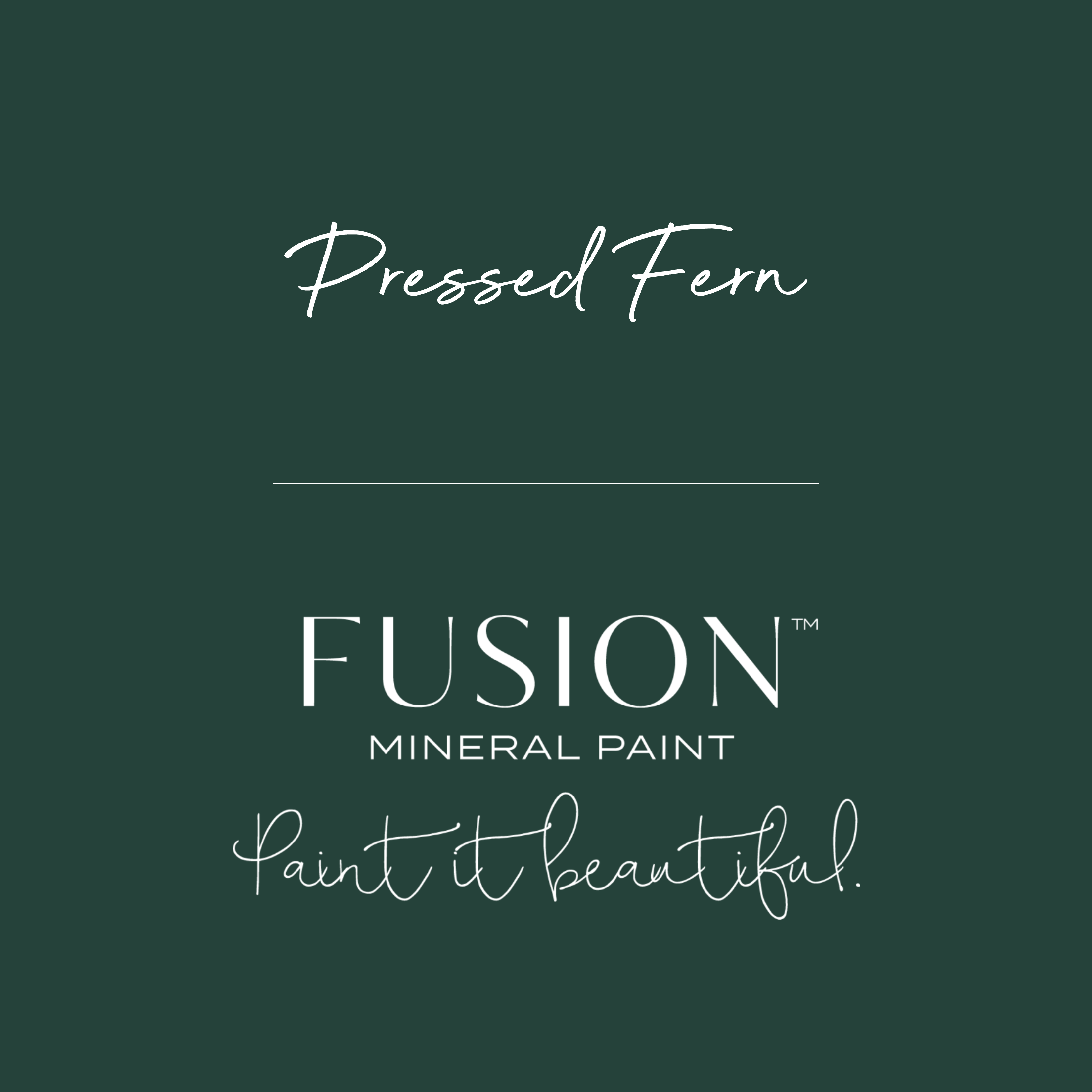 Pressed Fern | Fusion Mineral Paint | 500ml