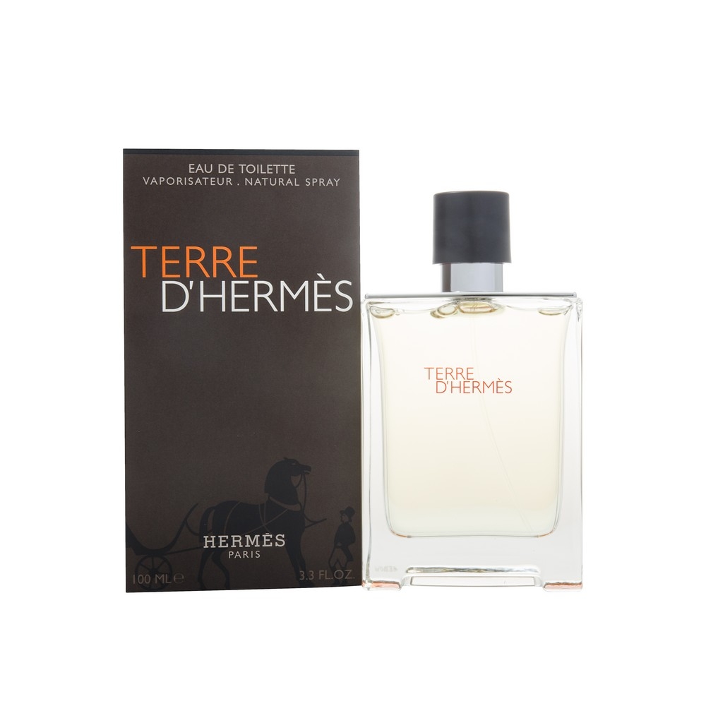 Hermes Terre d’Hermes For Men Eau de Toilette Spray 100ml