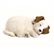 Realistic Breathing Action – Jack Russell – Activity & Sensory Items – Otter House – Story And Sons