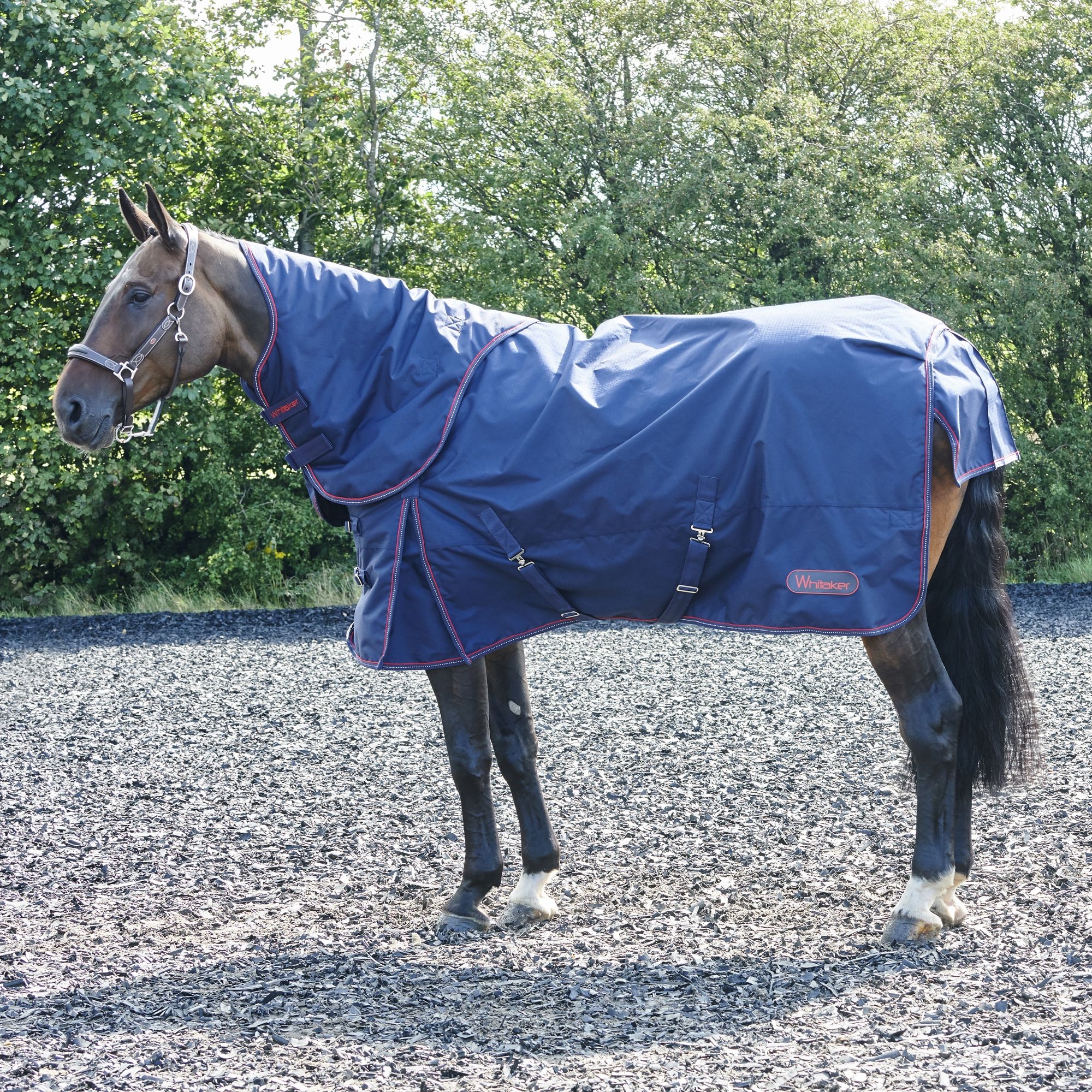 John Whitaker Rastrick Combo Turnout Rug in Navy – 5’6 = 125cm – Saddlemasters Equestrian