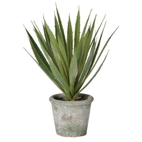 Green Spikey Yucca Leaf Plant In Cement Garden Pot – CH – Folk Interiors