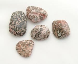 Leopard Skin Jasper