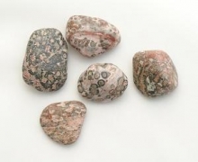 Leopard Skin Jasper