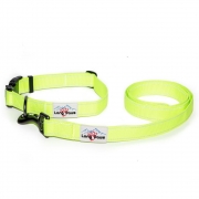 Neon Collar & Webbing Leash Set – Hi-Viz – Dog Walking Set – Puppy Set – Outdoor Visibility – – Long Paws – Unisex – Long Paws UK
