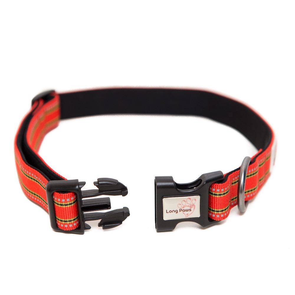 Long Paws Comfort Padded Dog Collar – Reflective Dog Collar UK M – Orange – Unisex – Long Paws UK