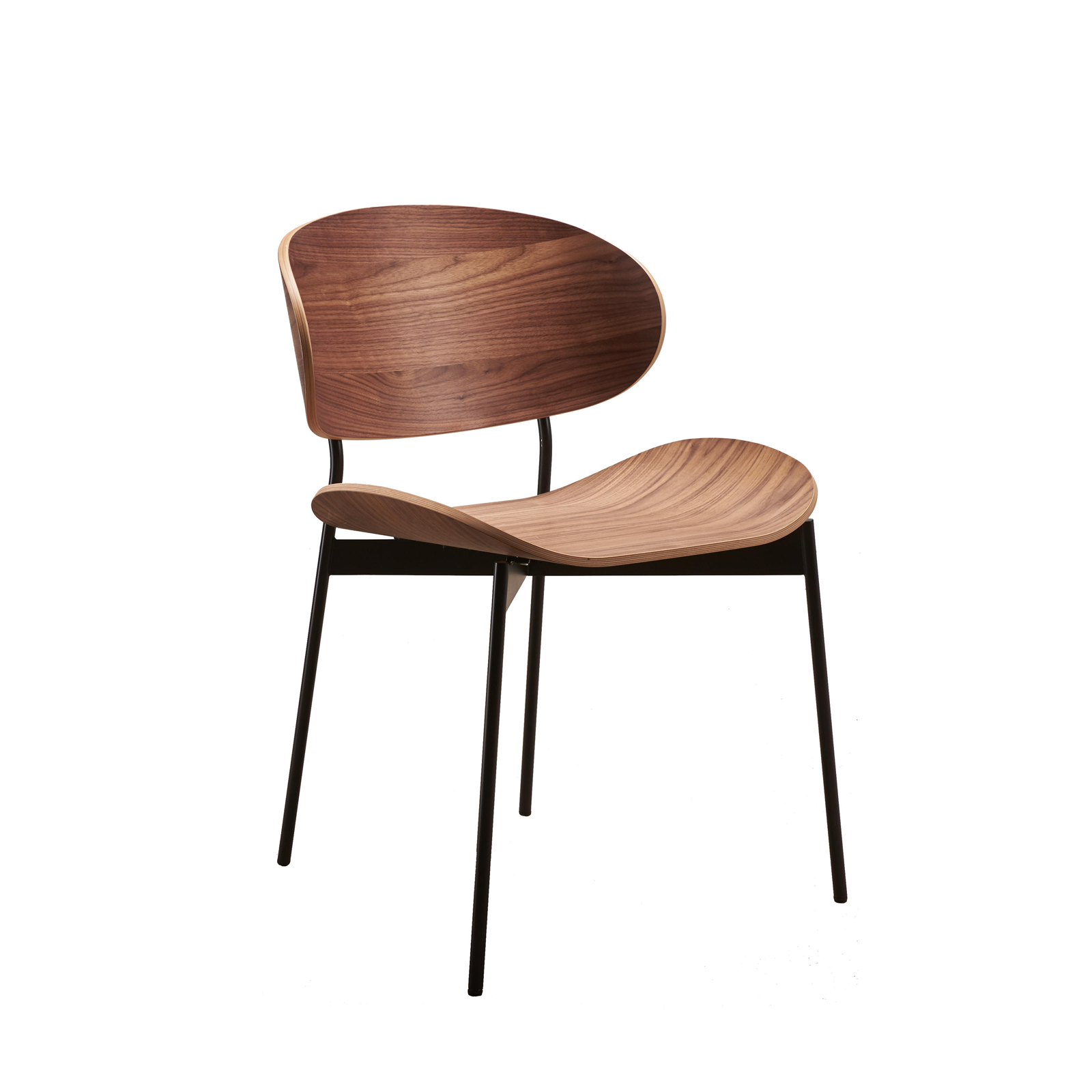Luz – Chair Walnut/Black Frame – More Moebel – Indor