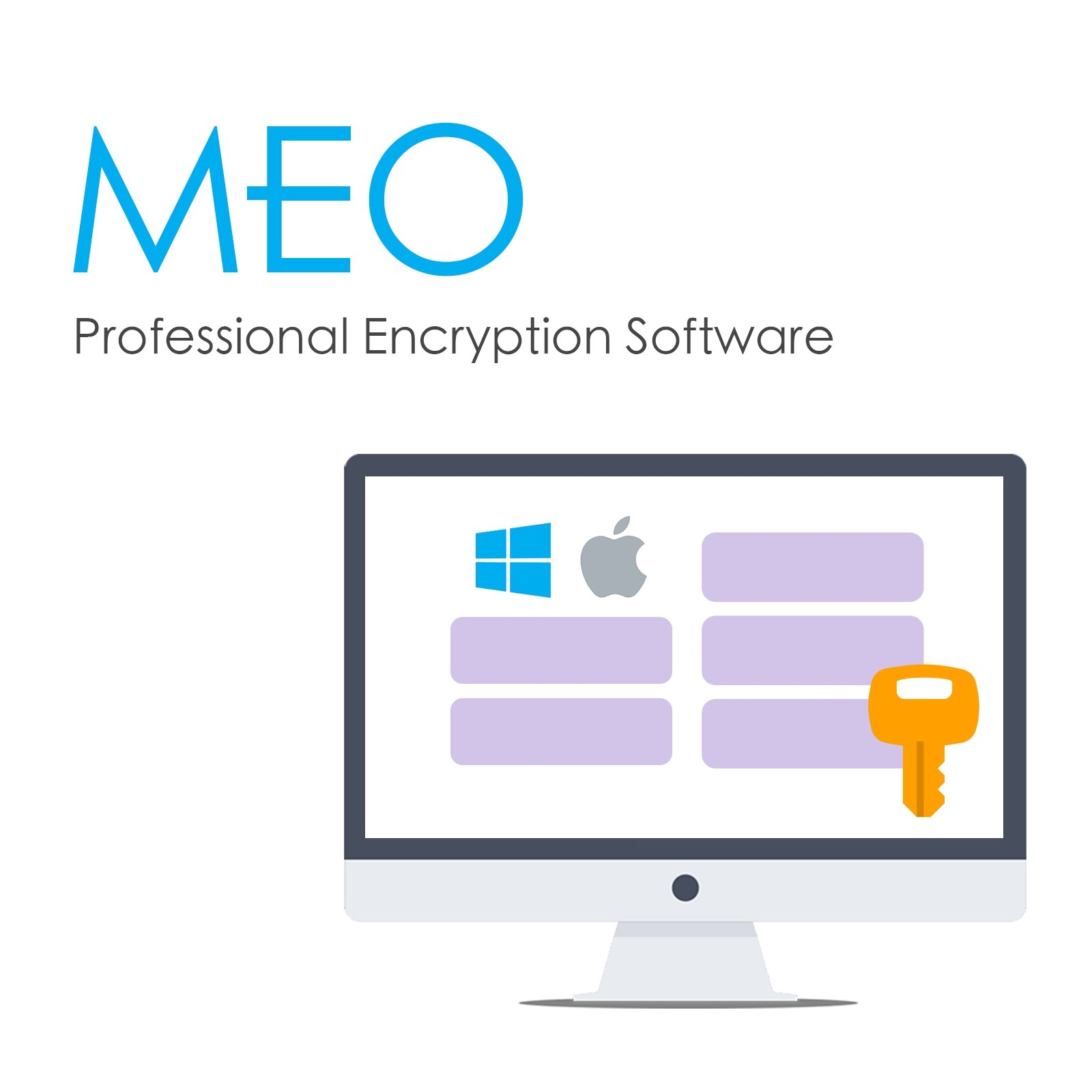 MEO Professional Encryption Software (Single License)