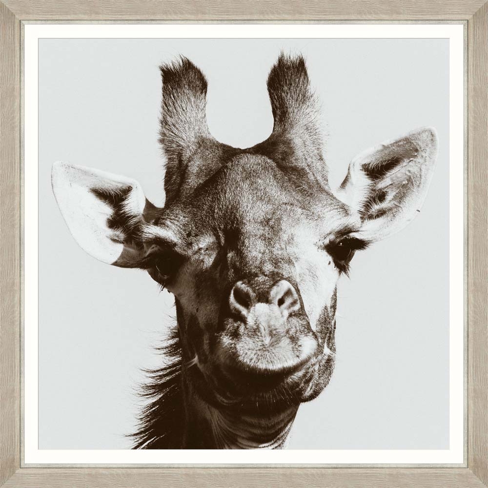 MINDTHEGAP – Giraffe Portrait Framed Print – LARGE – 96cm x 96cm – Brown / Grey – HDF / Glass / Paper – 96cm x 96cm x 2cm