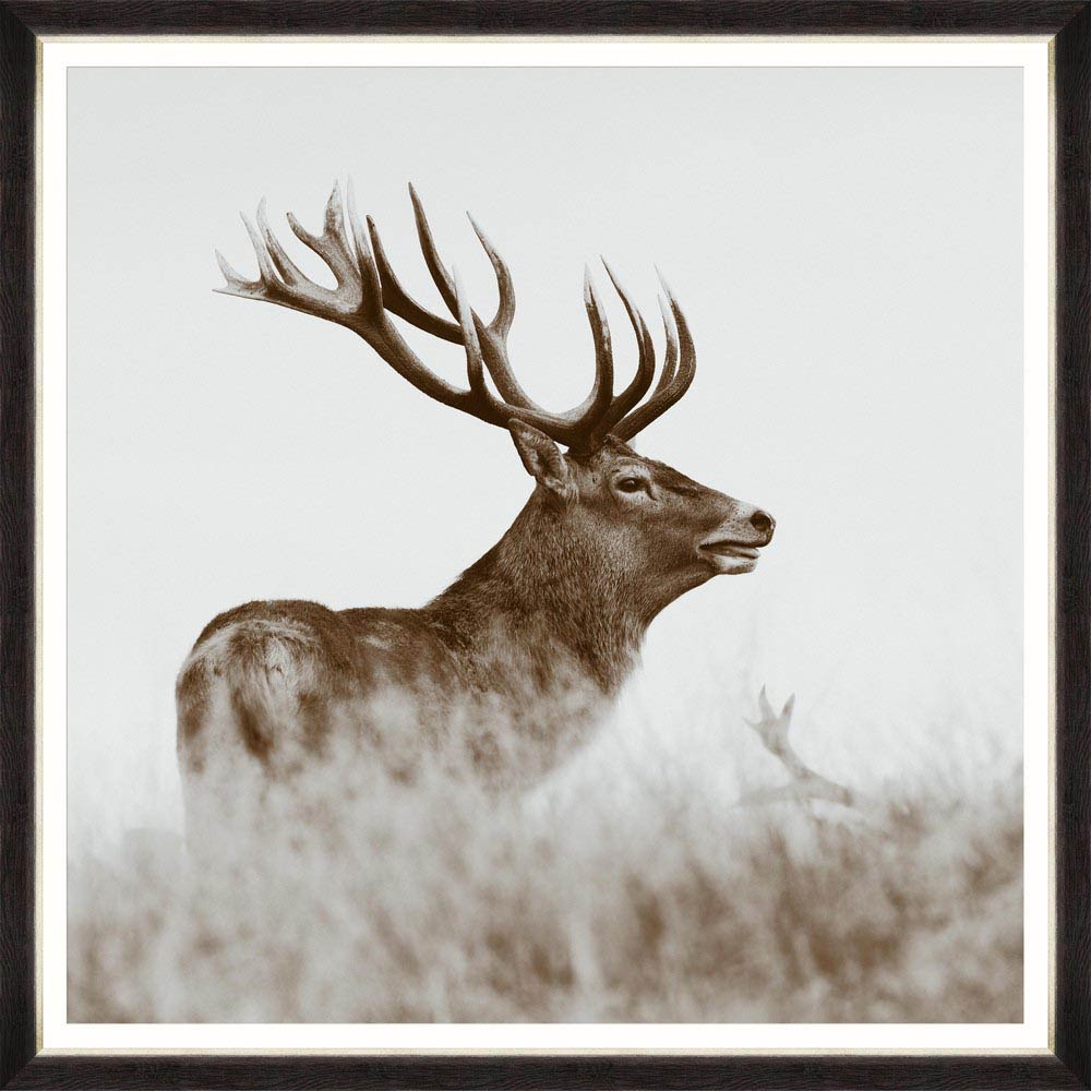 MINDTHEGAP – Red Deer Framed Print – LARGE – 96cm x 96cm – Black / White / Brown – HDF / Glass / Paper – 96cm x 96cm x 3cm