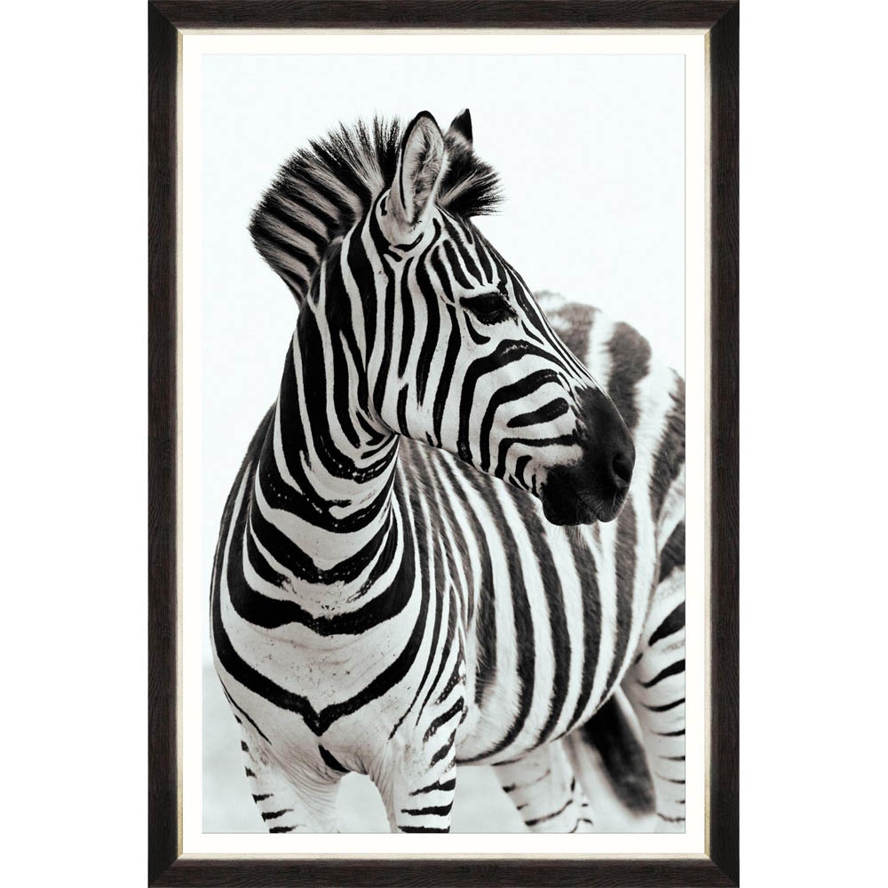 MINDTHEGAP – Zebra Portrait Framed Print – SMALL – 96cm x 66cm – Black / White – HDF / Glass / Paper – 96cm x 66cm x 3cm