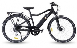 Easy Motion City EBike Momentum II Long-Range E-Bike