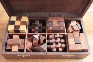 Wooden Puzzle 8 in 1 in Solid Sheesham