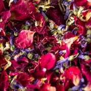 Winter Berry’ Natural Dried Large Flower Petal Confetti – 10 Litres – Polly’s Petals