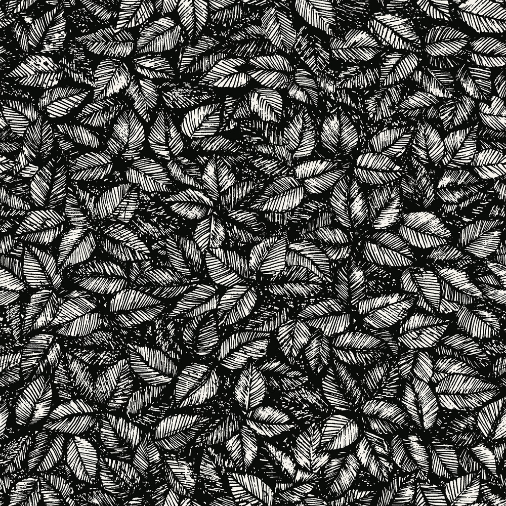 Borastapeter – Scandinavian Designers II Amorina 1773 Wallpaper – Black / Grey – Non-Woven – 53cm