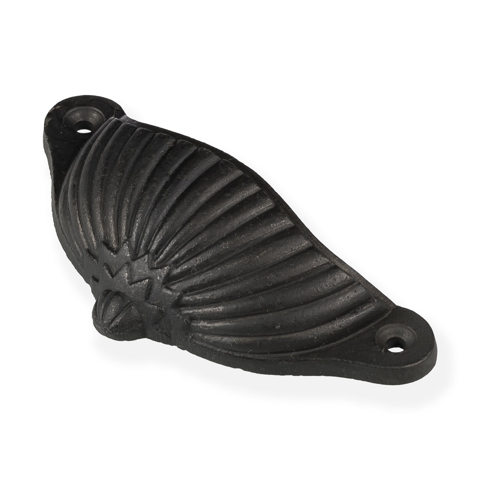 Sea Shell Black Cup Pull